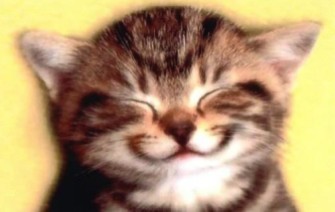 smiling-kitty